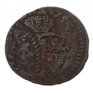 Polska, August III Sas, szeląg 1754 - Podwójne bicie
