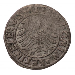 Śląsk, Legnica Fryderyk II, Grosz 1544 - rzadki rocznik
