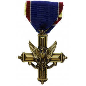 USA, Krzyż za Wybitną Służbę (Army Distinguished Service Cross)