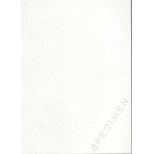 PWPW Specimen - zestaw 14 papierów ze znakiem wodnym