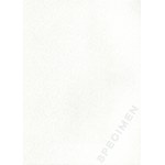 PWPW Specimen - zestaw 14 papierów ze znakiem wodnym