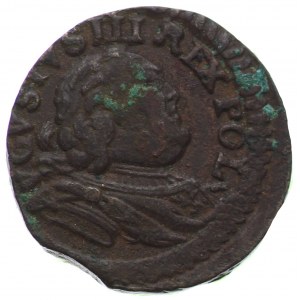 Polska, August III Sas, szeląg 1753 AVGVSTVS