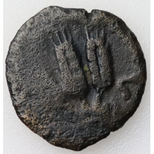 Cesarstwo Rzymskie, Prowincje - Judea,Prutah, Agryppa I 37-44 r.