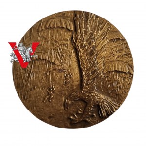 Medal Za Zasługi dla 6 Pomorskiej Dywizji Powietrznodesantowej
