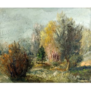 Jonas Vaitys, Landscape