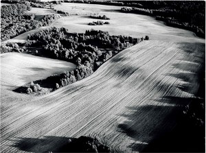 Antanas Sutkus, Žemė