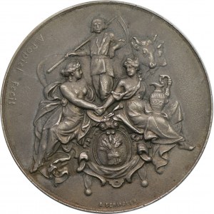 Medal Powszechna Wystawa Krajowa we Lwowie 1894 autorstwa Antoniego Popiela oraz Aleksandra Schindlera