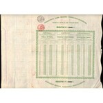 Obligacja - Towarzystwo drogi żelaznej Warszawsko-Wiedeńskiej - 500 franków/125 rubli srebrem 1860 