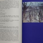 Tadeusz Makowiecki, Poeta-Malarz Studium o Stanisławie Wyspiańskim [1969]