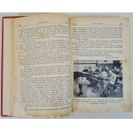 PŁOMYK. Tygodnik Ilustrowany dla dzieci i młodzieży 1930 (16 numerów)