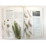 BREMNESS Lesley - THE GREAT BOOK OF HERBS [GUIDE].
