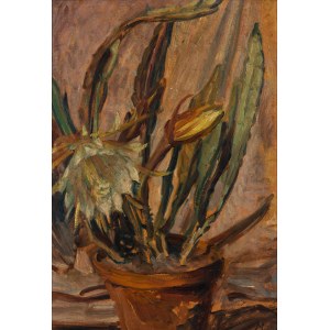 Ludwik Misky (1884 Nowy Sącz - 1938 Kraków), Kwitnący kaktus