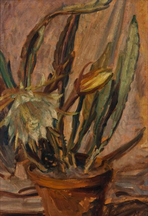 Ludwik Misky (1884 Nowy Sącz - 1938 Kraków), Kwitnący kaktus
