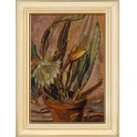 Ludwik Misky (1884 Nowy Sącz - 1938 Kraków), Kwitnący kaktus