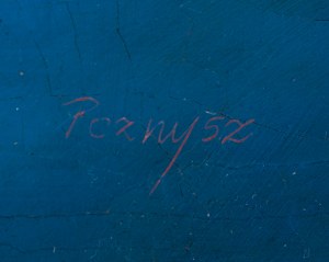 Tomasz Poznysz (ur. 1988, Pasłęk), 