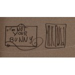 Wojciech Brewka (ur. 1980, Kalisz), Not your bunny