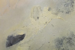 Barbara Szwedowska (ur. 1994), 