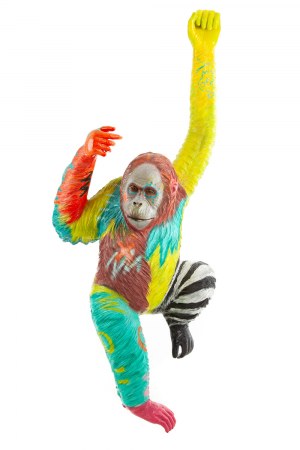 Wojciech Brewka (ur. 1980, Kalisz), Orangutan, 2019