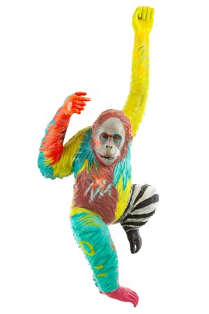 Wojciech Brewka (ur. 1980, Kalisz), Orangutan, 2019