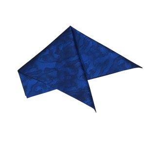 Federa blu navy