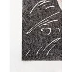 Stefan Slawinski (1948-2011), Extaza, 2005