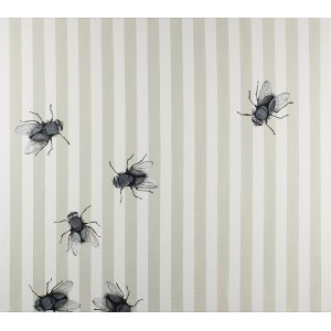 Anna Molas, Flies II, 2018