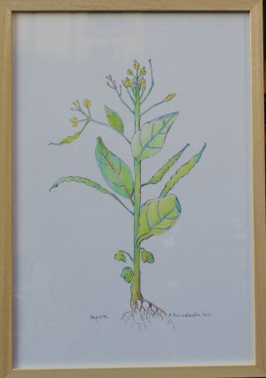 Bogna Gniazdowska, Bobrek, 2021