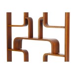 Ludvik Volak Holesov Drevnopodnik, Bookcase, 1960s.