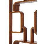 Ludvik Volak Holesov Drevnopodnik, Bookcase, 1960s.