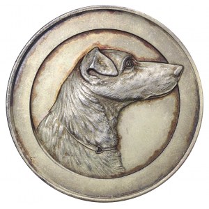 Russian Empire, Russian Society of Fox Terrier and Dachshund Lovers, Diakov 986, R4