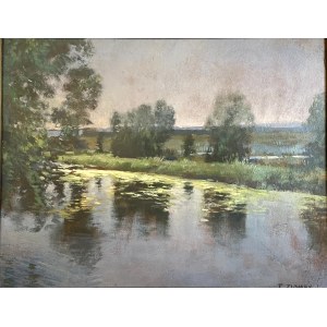 Teodor Ziomek, Waterscape