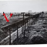 Obóz Koncentracyjny Oświęcim, Kartka Wysłana Przez Byłego Więźnia DOBRZAŃSKI KUZYN HUBALA