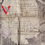 Rosja Carska 1916 Dyplom Połtawa, Polak z Łodzi, Piękny