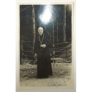 TEODOROWICZ Józef (1864-1938),