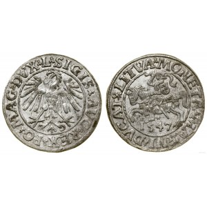 Polska, półgrosz, 1547, Wilno