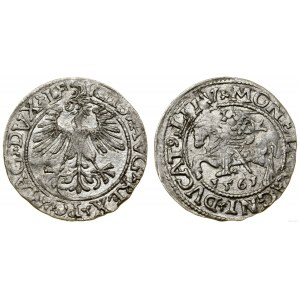 Polska, półgrosz, 1561, Wilno
