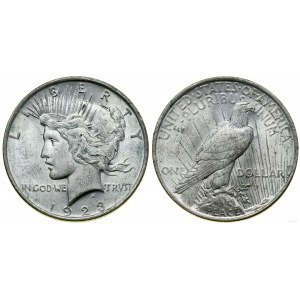 Stany Zjednoczone Ameryki (USA), 1 dolar, 1923, Filadelfia