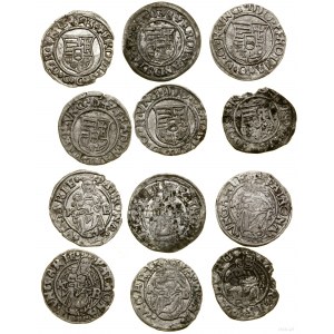 Węgry, zestaw 6 denarów, 1538-1580, Kremnica