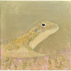 Marysia Kita (2008), Lizard