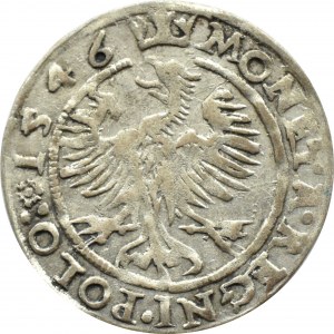 Sigismondo I il Vecchio, centesimo 1546 ST, Cracovia