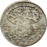 Sigismondo I il Vecchio, centesimo 1546 ST, Cracovia