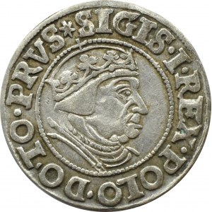 Sigismund I the Old, city penny 1538 PRVS, Gdansk VERY nice