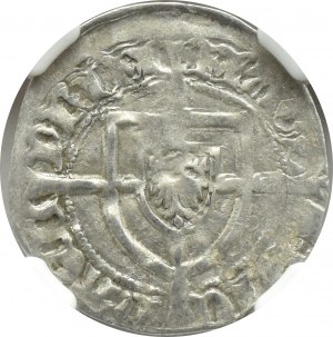 Zakon Krzyżacki, Michał Küchmeister von Sternberg (1414-1422), szeląg, NGC XF40