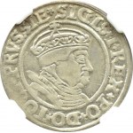 Zygmunt I Stary, grosz 1535 PRVSSIE/PRVSSIE, Toruń, NGC AU58