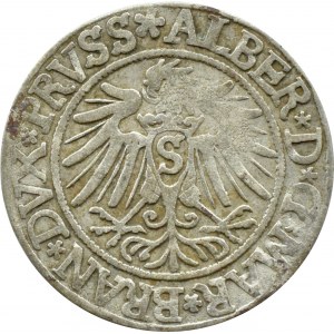 Prusy Książęce, Albrecht, grosz pruski 1538, Królewiec