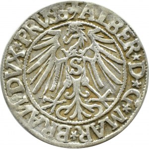 Prusy Książęce, Albrecht, grosz pruski 1544, Królewiec, ODWRÓCONE N