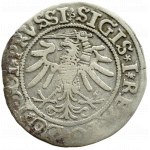 Zygmunt I Stary, grosz miejski 1533, Elbląg
