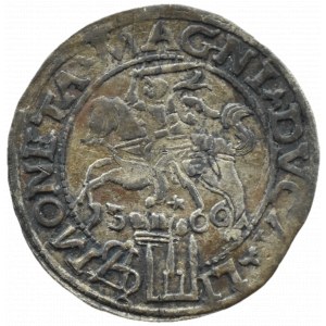 Zygmunt II August, grosz na stopę polską 1566 L/LI, Tykocin