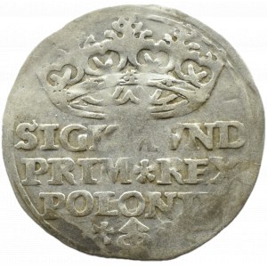 Sigismondo I il Vecchio, centesimo 1528, Cracovia