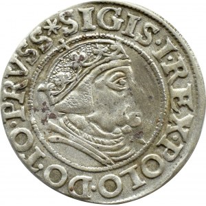 Zygmunt I Stary, grosz miejski 1538 PRVSS, Gdańsk